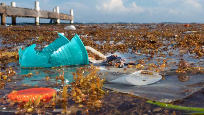 Belgen onderschatten hoeveel plastics er in oceanen terechtkomen: “We consumeren elke week equivalent van een bankkaart”