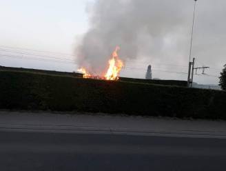Brandweer kan brandende haag snel blussen, oorzaak niet duidelijk 