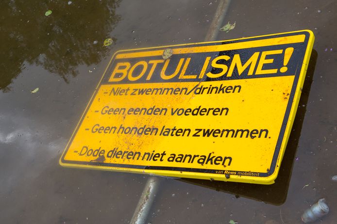 Botulisme is vooral voor vissen en watervogels erg gevaarlijk.