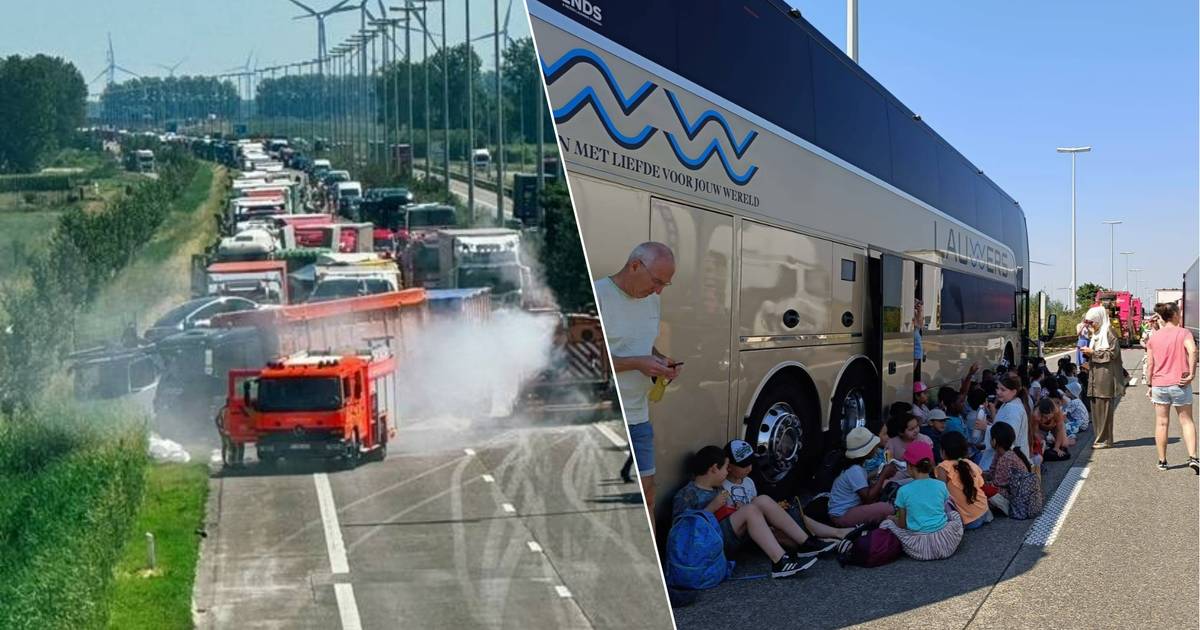 Zwaar ongeluk vlak bij de grens: E34 volledig versperd na ongeval met vier vrachtwagens.