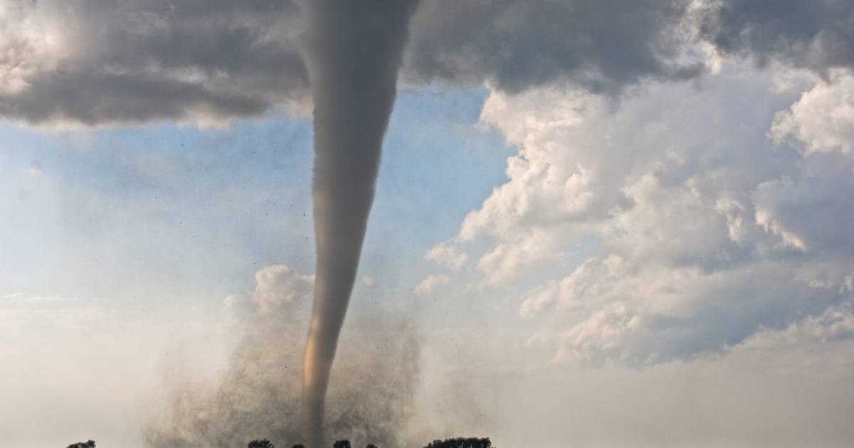 Une tornade pourrait avoir endommagé la forêt de Bouillon, en Wallonie : des centaines d’arbres brisés ou déracinés |  Science et planète