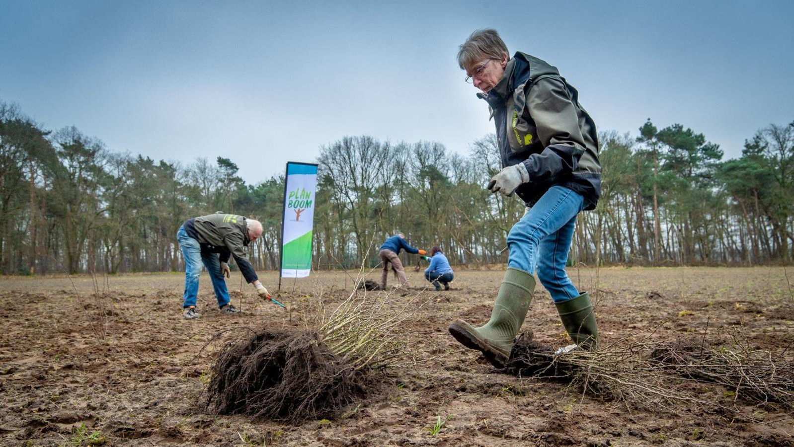 Vrijwilligers van IVN Veldhoven Eindhoven Vessem planten ruim 325 jonge bomen.