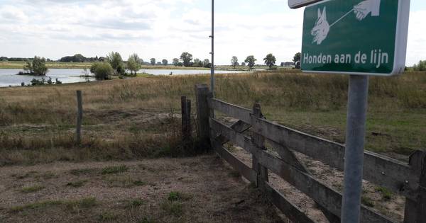 Nieuw hondenbeleid Loonse Waard pas vanaf 1 januari