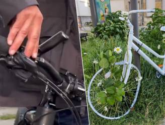 KIJK. Grote herdenking voor 23-jarige vrouw uit Wommelgem die overleed na verkeersongeval op Plantin en Moretuslei