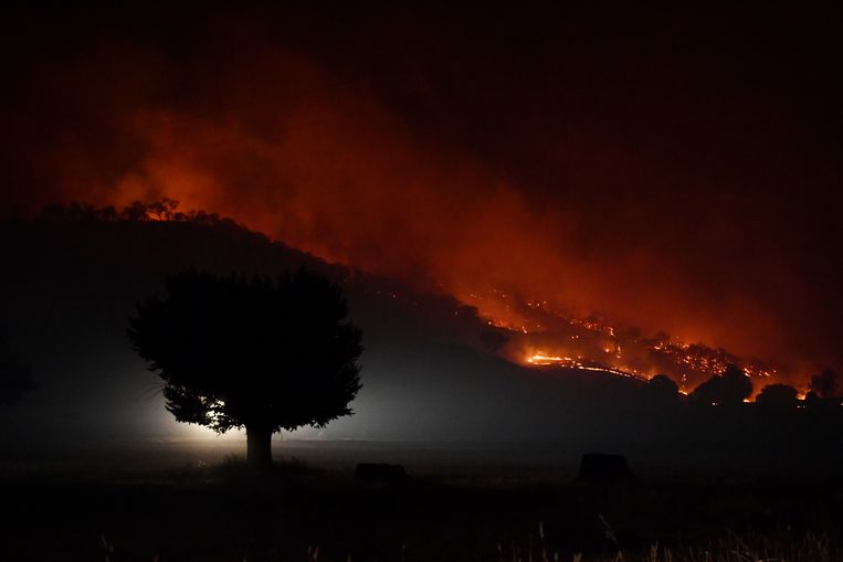 null Beeld Getty Images