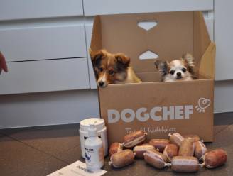 Deliveroo voor uw hond: Belgisch bedrijf levert verse maaltijden aan huis. “Maar toch”, zegt de dierenarts, “is er niks beter dan hondenbrokken”