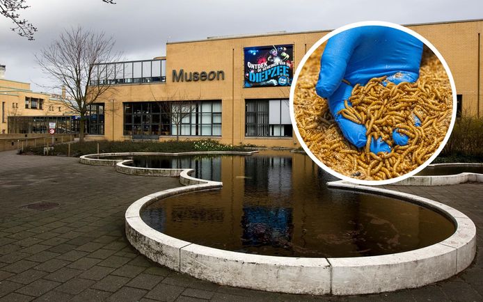 Het Museon in Den Haag. Inzet: beeld van wormen ter illustratie.