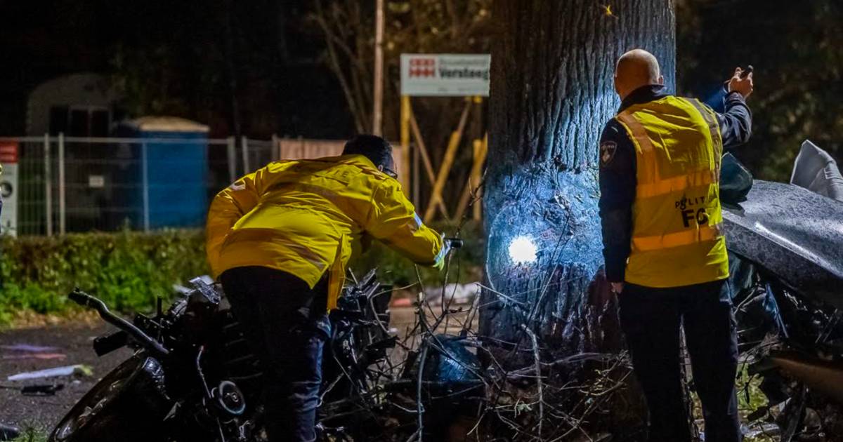 Man overleden bij ongeluk op N65 bij Berkel-Enschot.
