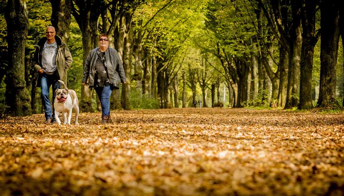 Mensen genieten van het herfstweer.