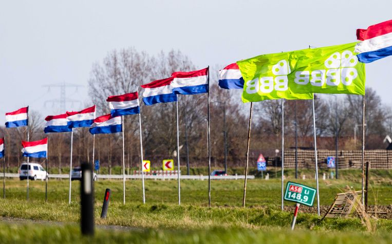 Vlaggen van BBB langs een snelweg. Beeld ANP