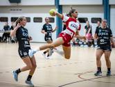 Uitslagen en verslagen handbal: DSVD stelt negende plaats veilig, Stevo wint derby bij Langeveen