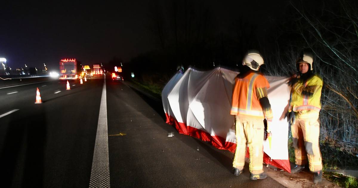 Wegwerker overlijdt nadat hij wordt aangereden door vrachtwagen op snelweg in Vlaanderen.