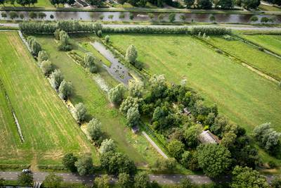 Boerin die bos kapte in Wanneperveen wil bomen herplanten in Giethoorn: ‘Doe dat ergens anders’