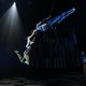 Flip FabriQue op Circo Circolo
