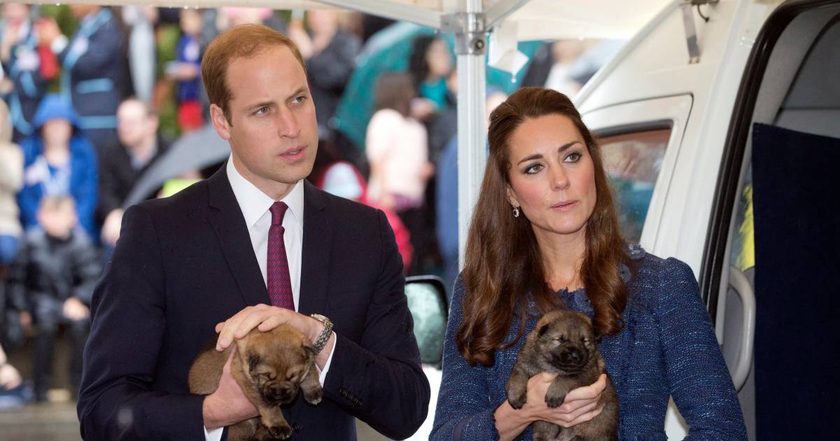 William En Catherine Verwelkomen Nieuwe Pup In De Familie Show Ad Nl