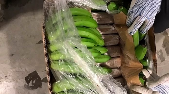 Een partij cocaïne in een doos met bananen in de haven van Vlissingen. Foto ter illustratie.
