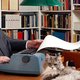 A.F.Th. van der Heijden wordt 70: ‘Ik ben enorm megalomaan. Noem het gerust hoogmoedswanen’