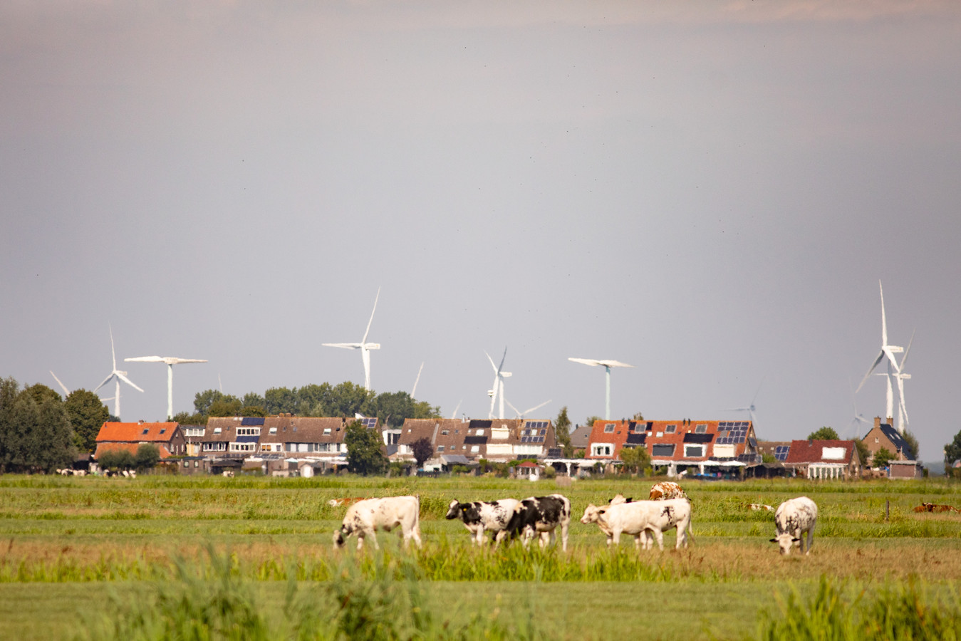 Schade 210 meterhoge windmolens valt binnen de normen, dus maakt