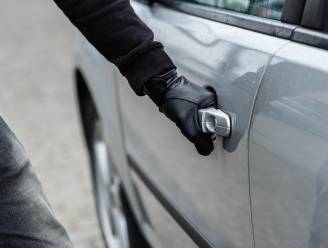 Indringer steelt uit bestelwagen in Mechelen