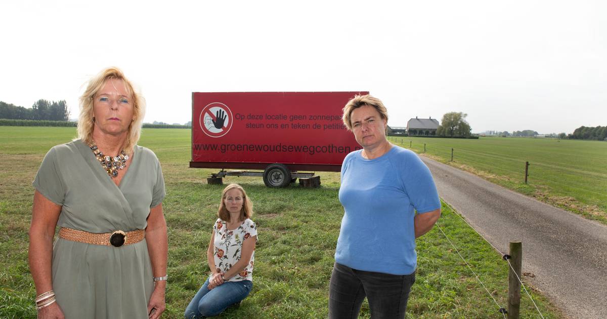 Omstreden zonneweide bij dorpsentree Cothen van de baan: 'De vlaggen kunnen uit' - AD