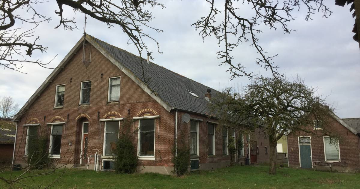 Na 18 jaar moet er weer leven komen in deze oude boerderij: jongvee, biologische groenten en hop - D