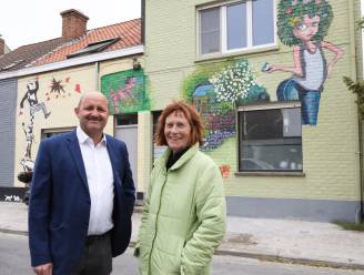 Nieuwe kunstgevel siert de Molenstraat