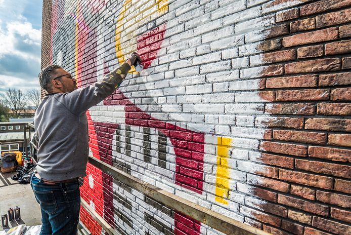 Micha de Bie maakt gigantisch kunstwerk op saaie muur Delft AD.nl