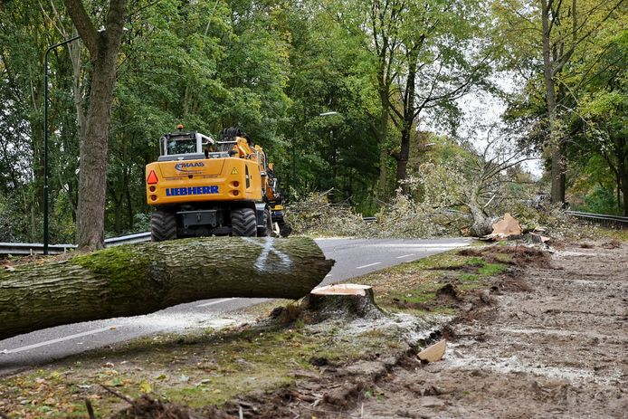 De plaats van het dodelijk ongeval op de Hakvoortseweg in Hilvarenbeek.