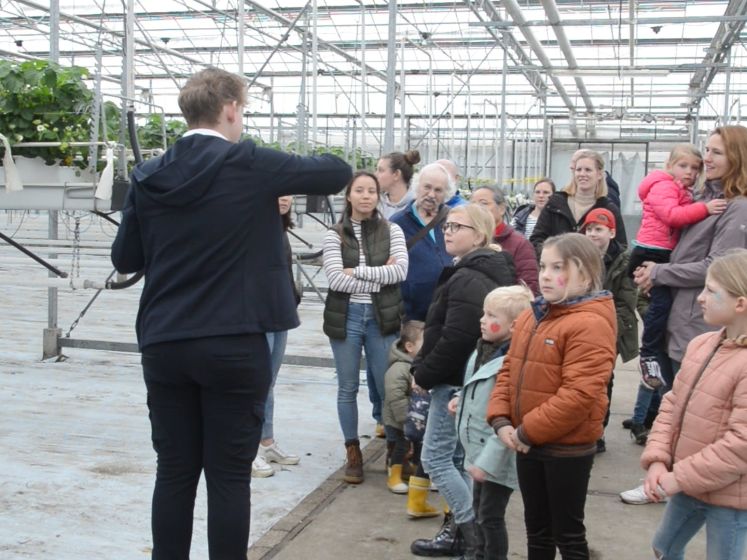De groene vingers worden uit de mouwen gestoken in de kas