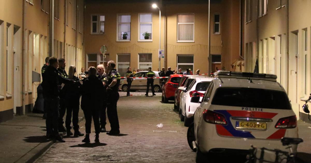 Gewonde en aanhouding na vechtpartij Scheveningen .