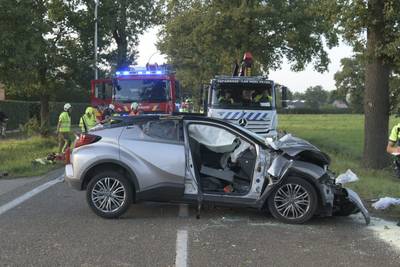 Car crashes into tree in Kalmthout: driver and passenger seriously injured