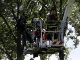 Parachutist belandt in boom in Teuge