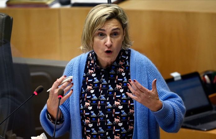 Vlaams minister van Landbouw Hilde Crevits (CD&V).