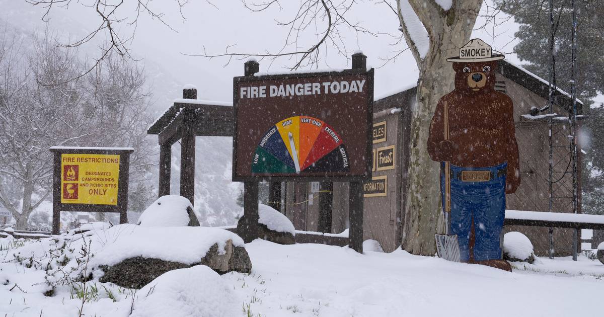 Phénomène rarissime: Los Angeles en alerte tempête de neige pour la ...