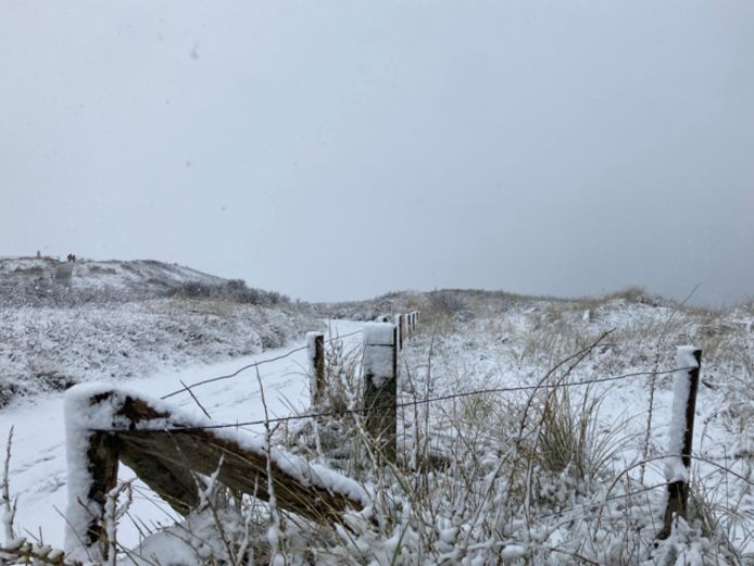 Uitzicht op De Hoge Hil in Domburg