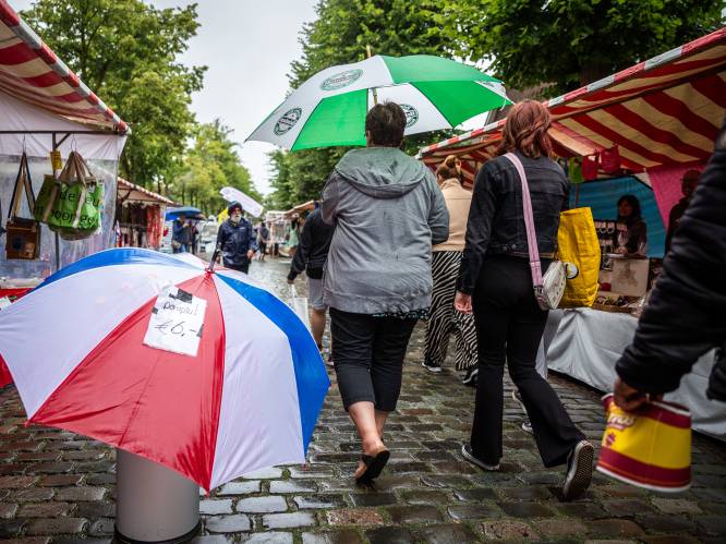 Van de regen in de drup: 2023 was uitzonderlijk nat jaar, net geen record