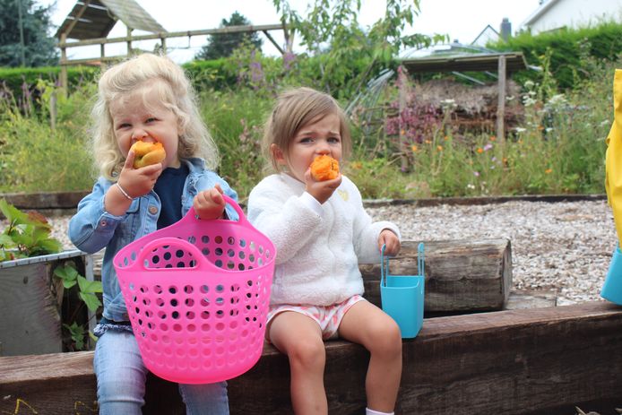 Kinderopvang Clara di Luna heeft eigen moes- en fruittuin waarin kinderen hun groenten en fruit zélf kweken en plukken. I-pads en televisie zijn er niet welkom