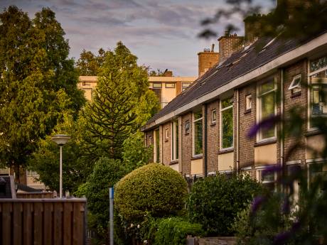 Investeerders slaan hun slag: dit is het verhaal achter advertenties voor simpele huizen met torenhoge prijzen