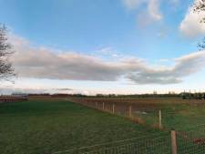 Bunnik en Zeist willen zonnepanelen en windmolens nog voor de verkiezingen van hun nek hebben