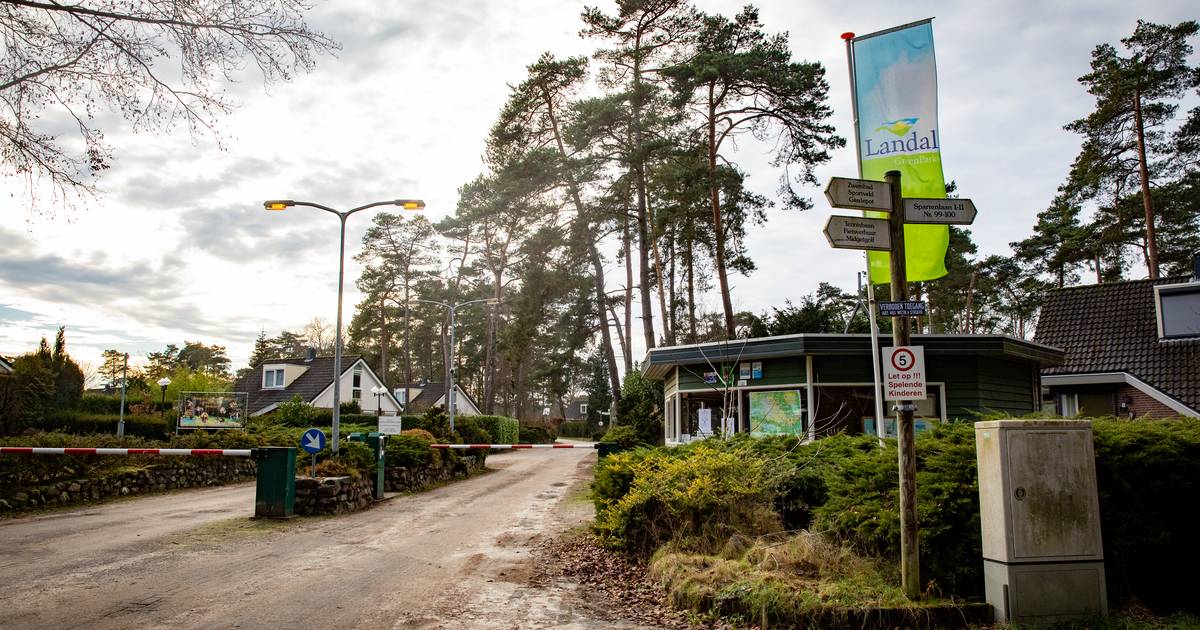 Lof én vraagtekens bij Bergeijkse fracties over plan voor luxe vakantiepark Zwarte Bergen - Eindhove