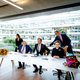 Knevelarij door de belastingdienst: wat dat betekent lees je in Max Havelaar