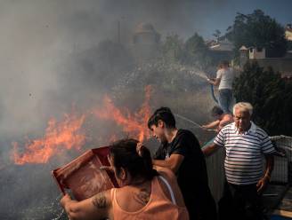 Zuid-Europa kreunt onder bosbranden: het vuur woedt steeds heviger, en da's de schuld van de mens