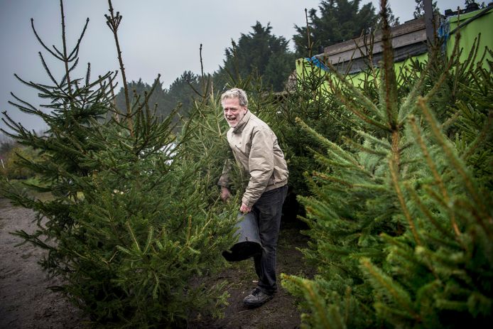 neus essay Aannames, aannames. Raad eens Ieder jaar dezelfde kerstboom, is dat wel zo duurzaam? | Wonen | AD.nl