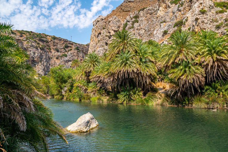 The forest of palms, Riverside palm-groves at Preveli Beach, River Megalopotamos (Kourtaliotis), Preveli Gorge, Crete, Greece. The palm forest of Preveli is located below the monastery of Preveli, at the mouth of the KourtaliÃ³tiko gorge. Beeld Getty Images