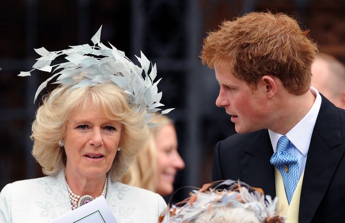 Le prince Harry s'en prend à Camilla: “Elle est dangereuse, elle a sacrifié  les autres pour se sauver elle-même” | Les mémoires explosives du prince  Harry | 7sur7.be