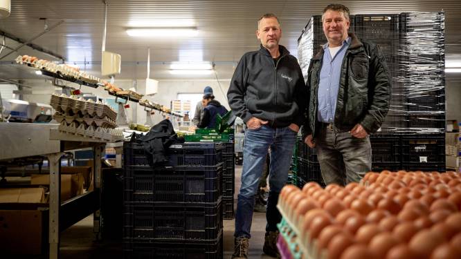 Van wijn tot kwark: Brabantse boeren bundelen krachten met online-verkoop van verse streekproducten