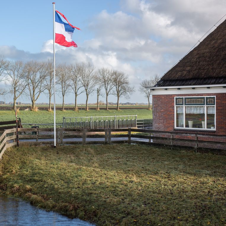 Op de polderweg door de Wogmeer wappert voor bijna elke boerderij een vlag op zijn kop. Beeld Loek Buter