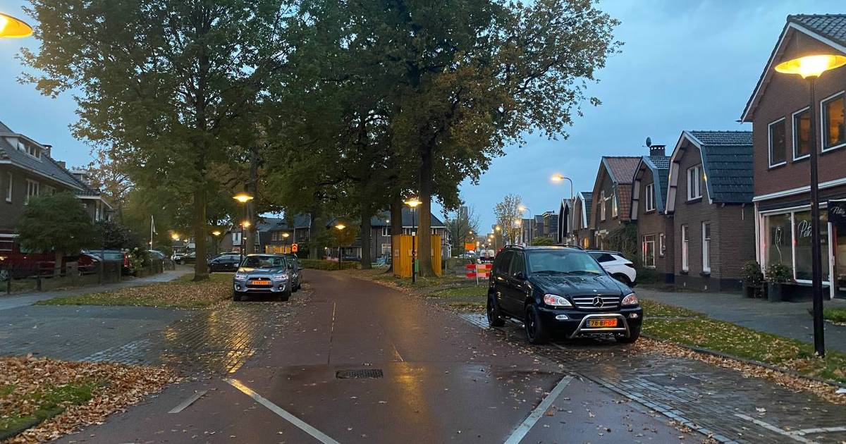 Hond van meisje wordt aangereden in Hengelo, bestuurder rijdt door.