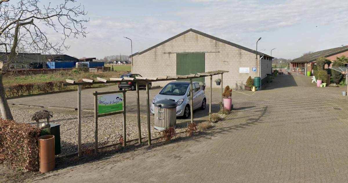 Koetje Boe zit al acht jaar in het buitengebied van Wagenberg, maar mag dat eigenlijk wel?