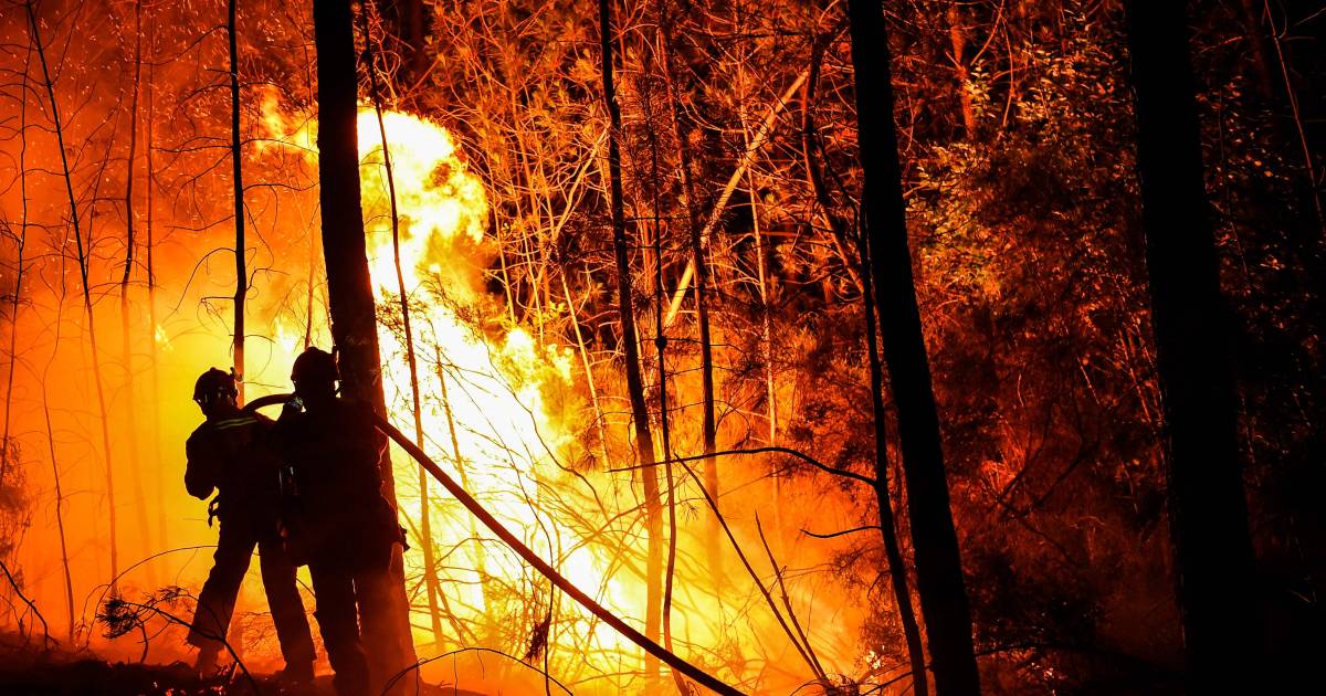 Evacuaties in Frankrijk vanwege bosbranden | Buitenland | bd.nl - BD.nl